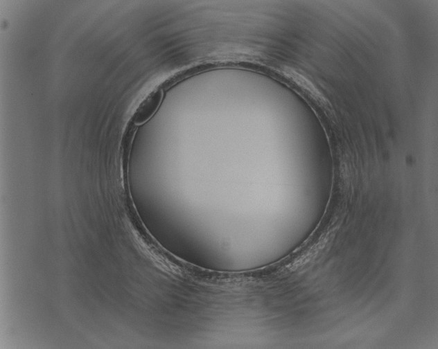 X0000073490934200608211646