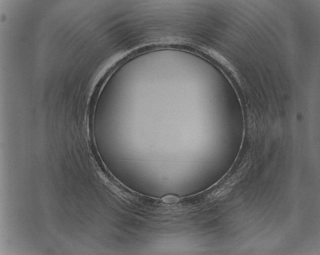 X0000073490935200608211646