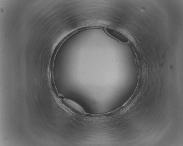 X0000073490936200608211646