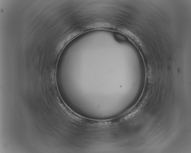 X0000073490937200608211646