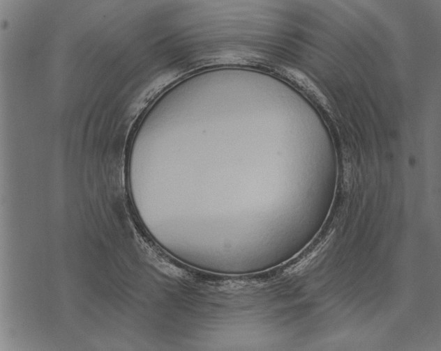 X0000073490938200608211646