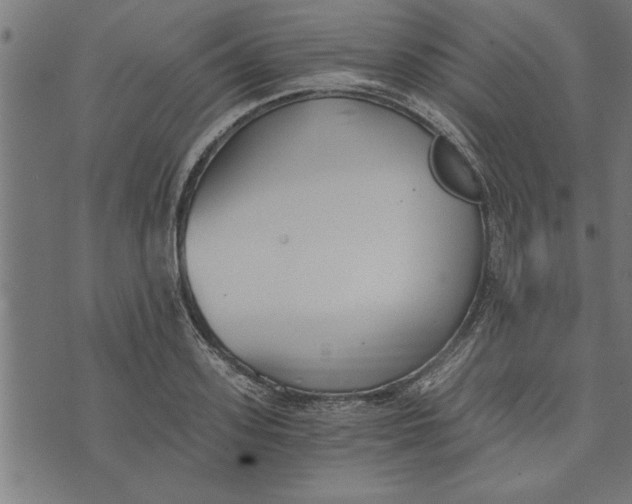 X0000073490939200608211646