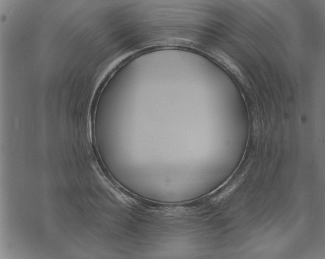 X0000073490940200608211646