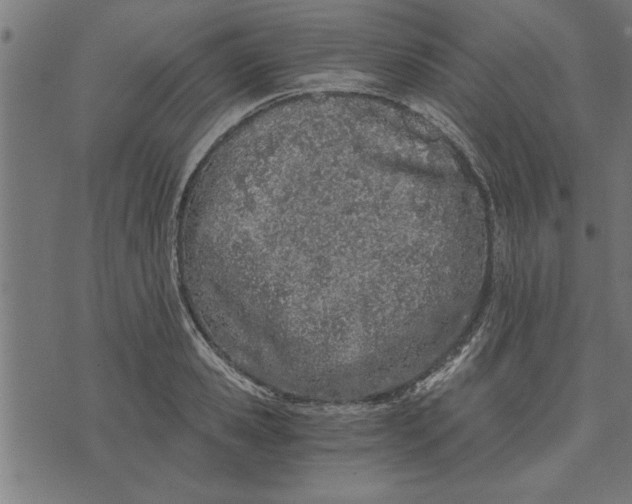 X0000073490941200608211646