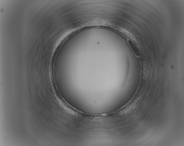 X0000073490942200608211646