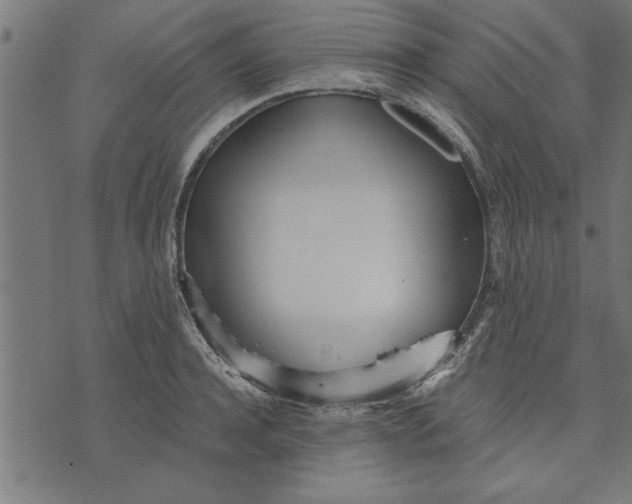 X0000073490944200608211646