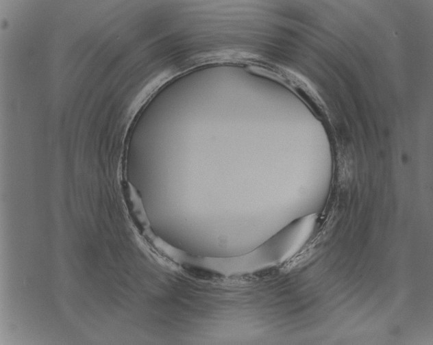 X0000073490946200608211646