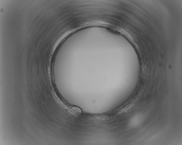 X0000073490947200608211646