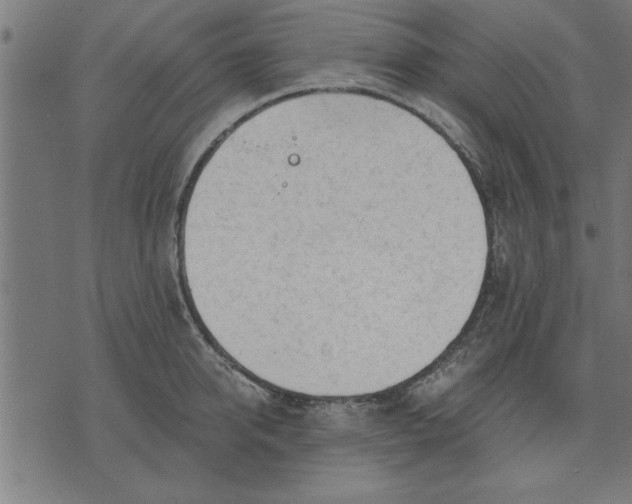 X0000073490950200608211646