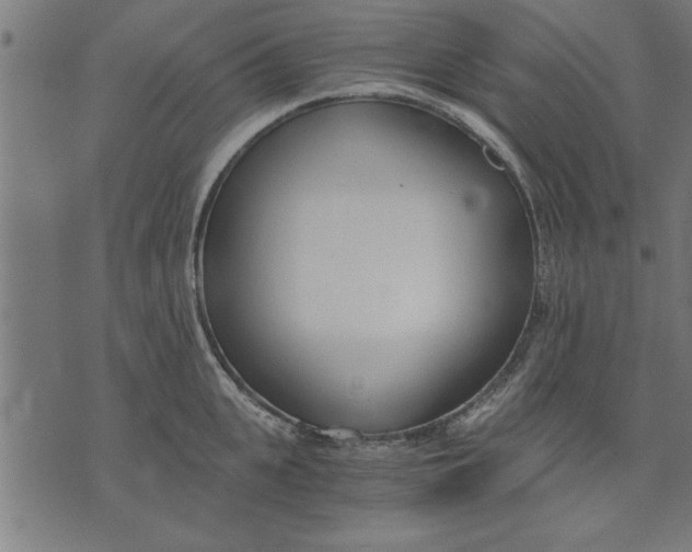 X0000073490951200608211646