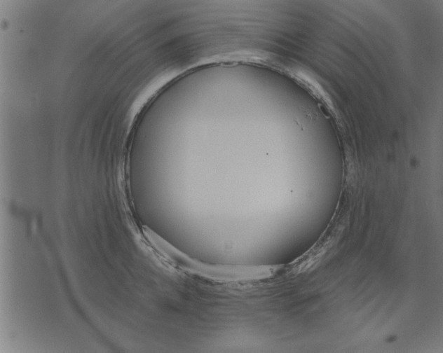 X0000073490952200608211646