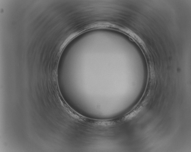 X0000073490953200608211646