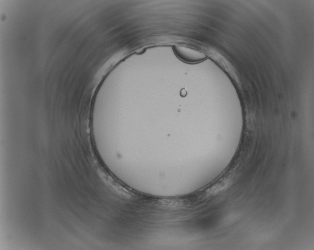 X0000073490954200608211646