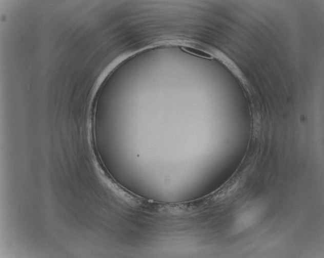 X0000073490955200608211646