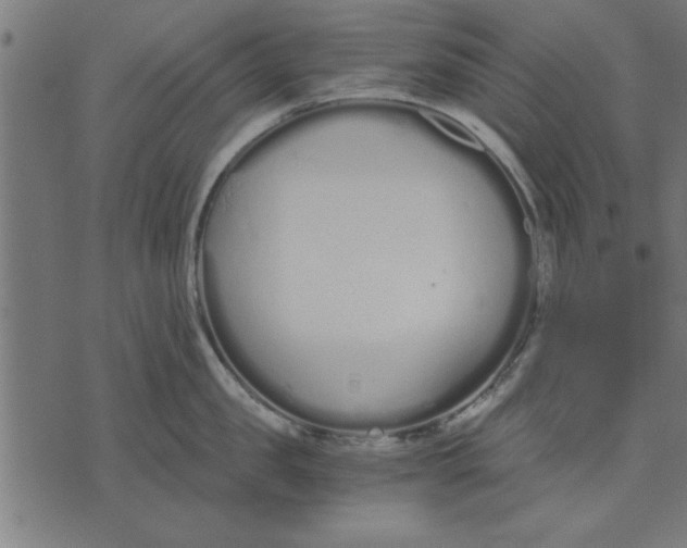 X0000073490957200608211646