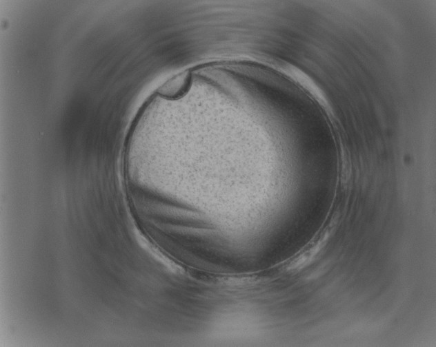 X0000073490958200608211646