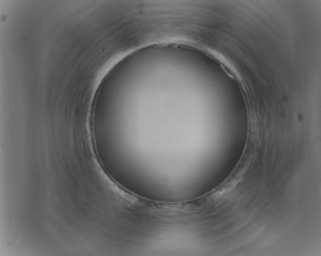 X0000073490959200608211646