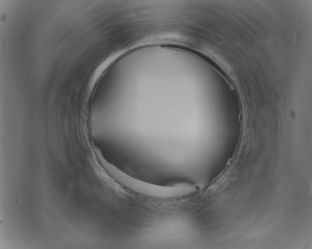 X0000073490960200608211646