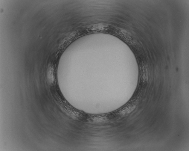 X0000073490962200608211646