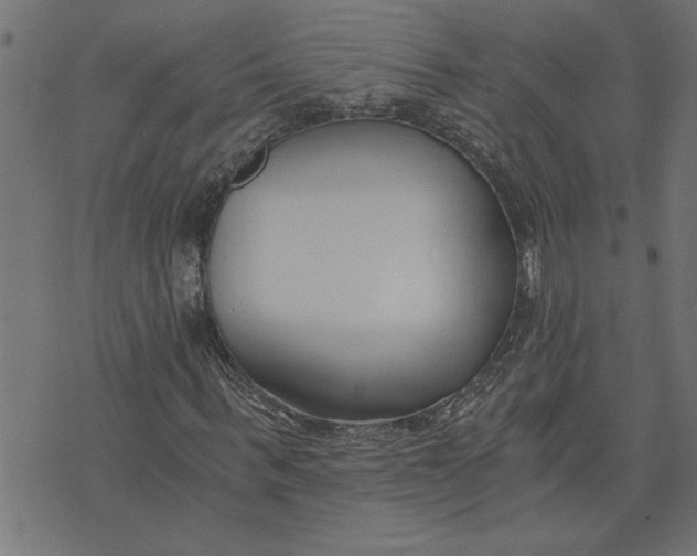 X0000073490963200608211646