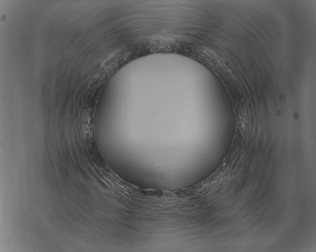 X0000073490964200608211646