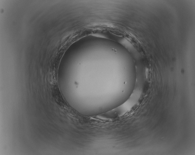 X0000073490965200608211646