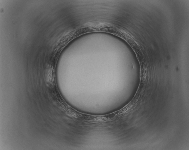 X0000073490966200608211646