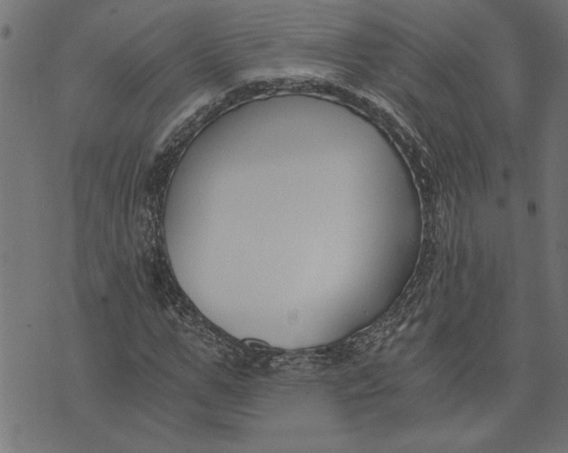 X0000073490967200608211646