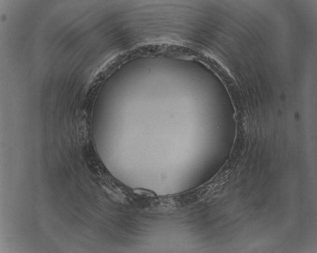 X0000073490968200608211646