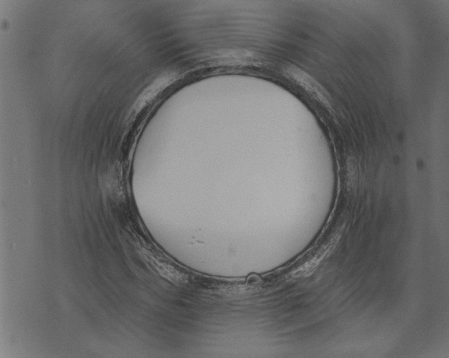 X0000073490970200608211646