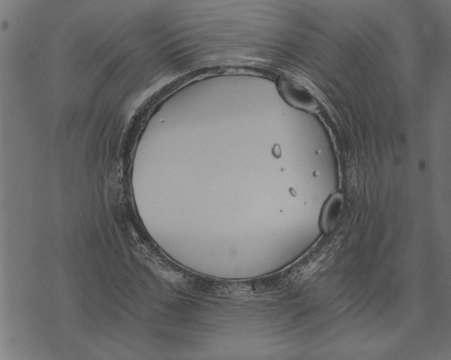 X0000073490971200608211646