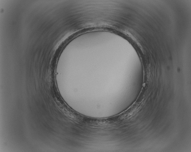 X0000073490975200608211645