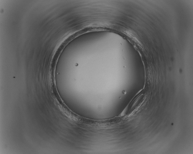 X0000073490976200608211645