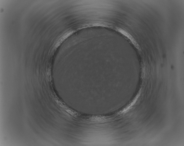 X0000073490977200608211645