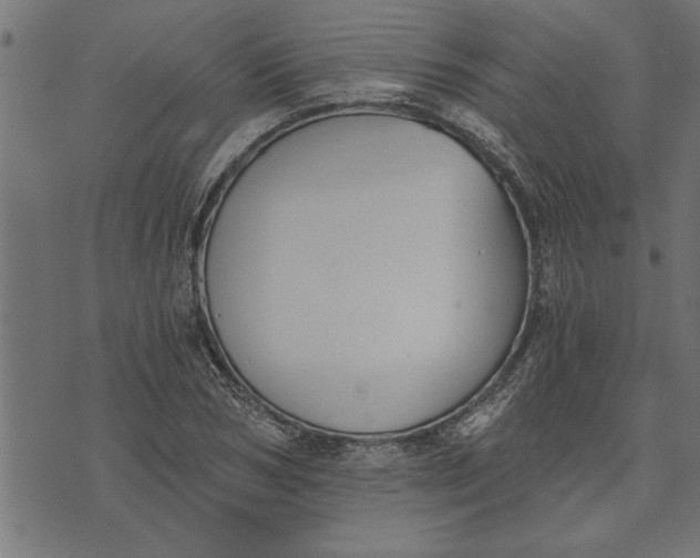 X0000073490978200608211645