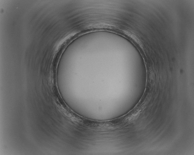 X0000073490979200608211645