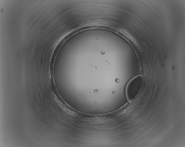 X0000073490980200608211645