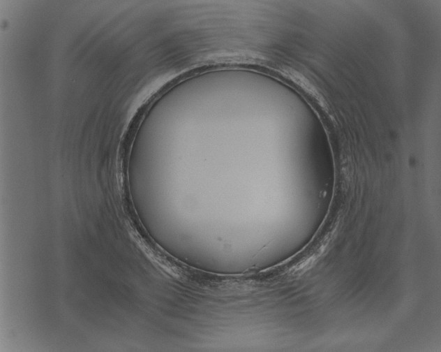 X0000073490981200608211645