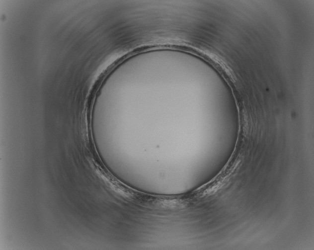 X0000073490982200608211645