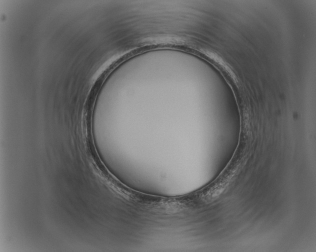 X0000073490983200608211645