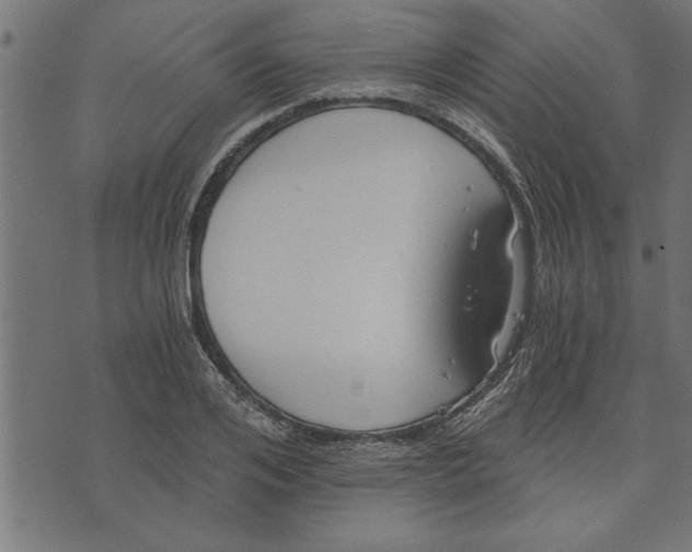 X0000073490984200608211645