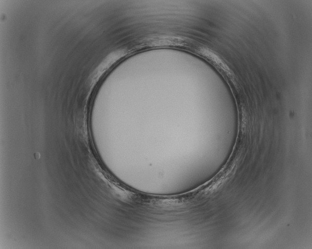 X0000073490986200608211645