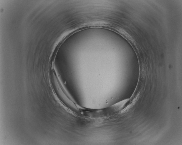 X0000073490989200608211645