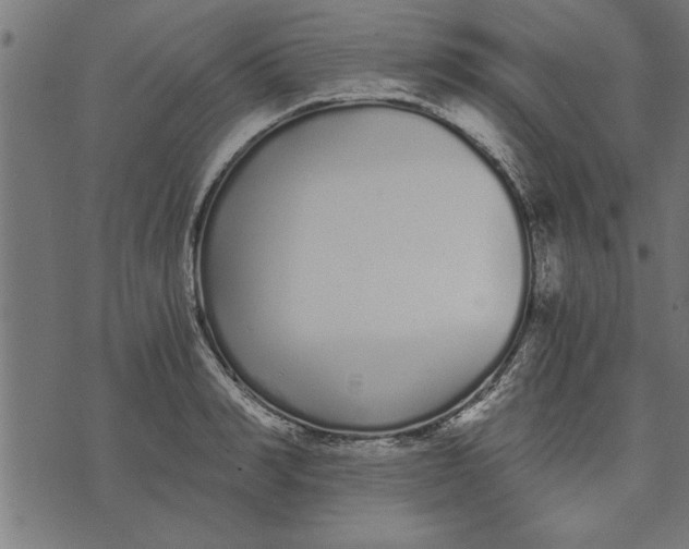 X0000073490990200608211645