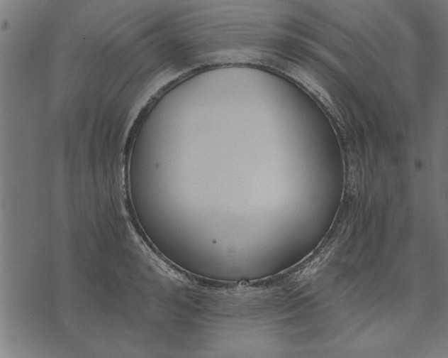 X0000073490992200608211645