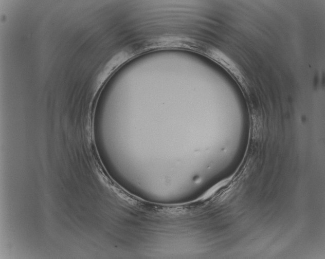 X0000073490994200608211645