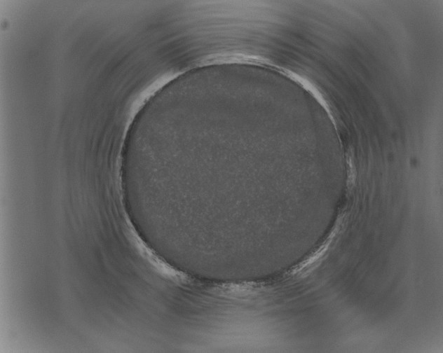 X0000073490995200608211645