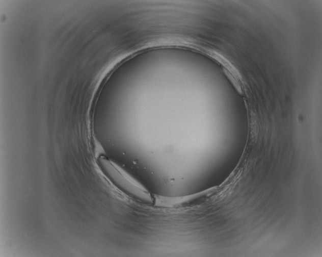 X0000073490996200608211645