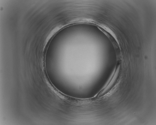 X0000073490997200608211645