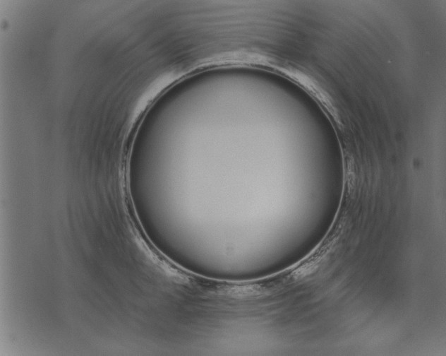 X0000073490998200608211645